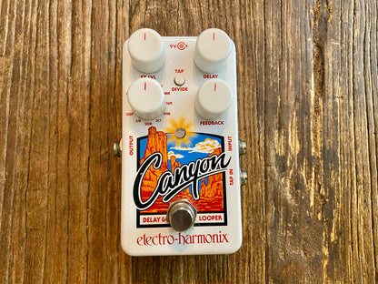 Canyon Delay & Looper | Super Clean, Works Great